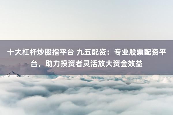 十大杠桿炒股指平臺(tái) 九五配資：專業(yè)股票配資平臺(tái)，助力投資者靈活放大資金效益