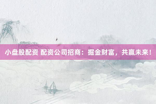 小盤股配資 配資公司招商：掘金財(cái)富，共贏未來！