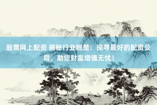 股票網(wǎng)上配資 揭秘行業(yè)翹楚：探尋最好的配資公司，助您財富增值無憂！
